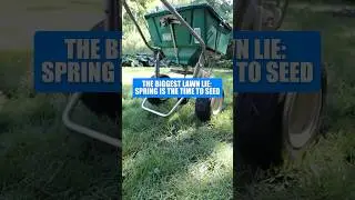 Spring vs Fall Seeding: The Secret to a Thicker Lawn #shorts