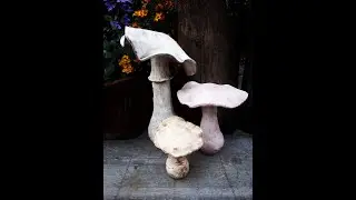 Paddestoelen allerlei in klei