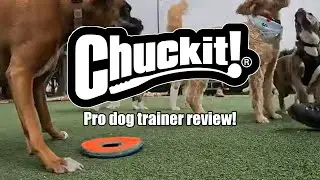 Chuckit Paraflight & Crunch Ball Honest Review | Super Dave Dog TV San Francisco Dog Trainer Tips