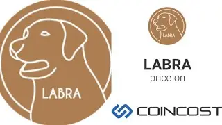labra finance coin how to buy labra finance coin from trust wallet #labrafinance finance cbc