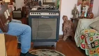 Ampeg Gemini 2