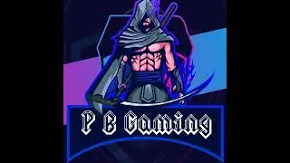 PB Gaming Live Stream