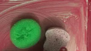 ASMR scrubbing sounds.