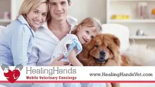 Mobile Veterinarian Atlanta| Healing Hands Mobile Veterinary Service| 404 867-2041