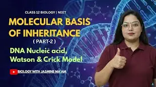 Molecular Basis of Inheritance Part-2 DNA Nucleic acid , Watson & Crick Model