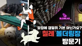 [남미 여행] 칠레에서 클라이밍 하기! #산티아고데칠레 #볼더링장 방문 Bloclab