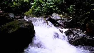 Calm Focus Sessions with Mountain River Flowing Water, Soft White Noise Ambience