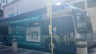 Miami-Dade Transit Bus Spotting (January 2025) Edition Part 2/6 