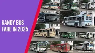 Kandy bus fare in 2025