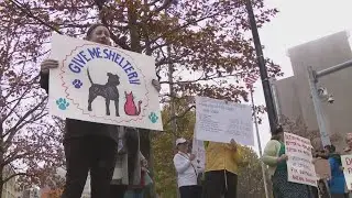 City of Buffalo officials look for new animal shelter