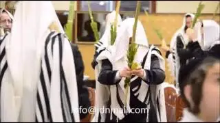 Sukkahs 5776 In Beis Chaim Shia