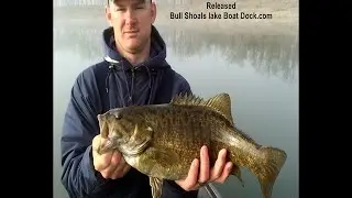 Bull Shoals Fishing Report April 2