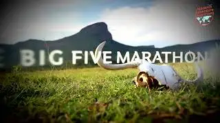 The Big Five Marathon - South Africa