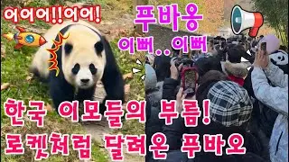 맙소사!!😱 