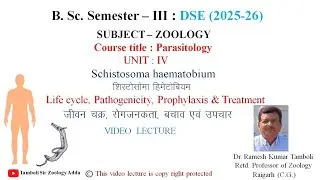 Parasitology Schistosoma BSc Sem III | Zoology | Dr. R. K. Tamboli