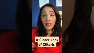 What are the parts of the clitoris