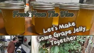From Vine To Table //Making Homemade Grape Jelly