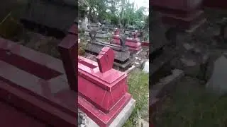 Part 2 | Berburu Jamur Liar #jamur #jamurbarat #jamurliar