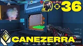 NOT YOUR AVERAGE VIPER!! - ENVY canezerra [NA] #MatchMVP