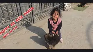 Naughty girl sagal with puppies 