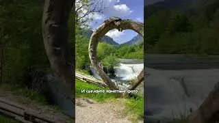 Что за КРАСОТЫ?