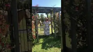Plus Size White Floral Dress (CH5235A)