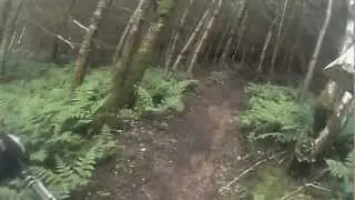 foel downhill