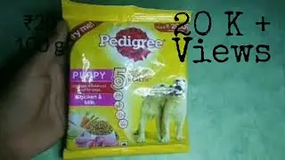 How to give a dog food first time for puppy | Pedigree dog food |