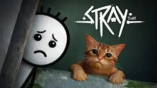Lost From Family&hellip; A Cat&rsquo;s Sad Journey Begins 🐱 (STRAY #1)