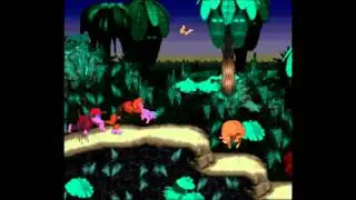 Let's play - 1 DK Country [time2craft]
