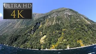 4k Milton Sound Cruise - New Zealand