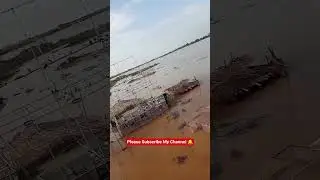 India Pakistan Bangladesh flood animals Missing😭#help #poor #love #birds #punjabi #lahore #islamabad