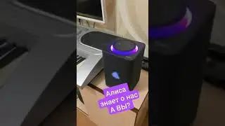 Что такое MAGIC LIME ACADEMY