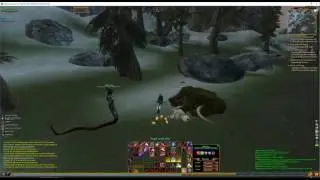 Everquest 2 - HERITAGE QUEST: Gold Coldain Insignia Ring - 002 - Eastern Wastes