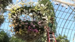 Setting Up The Orchid Show: On Broadway
