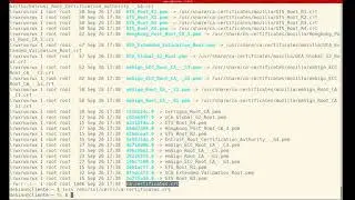 Instalación de certificado raíz de una autoridad certificadora local en Linux