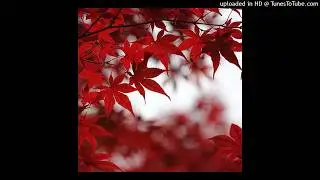 [free for profit] ambient + experimental type beat 