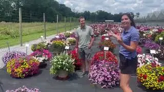 Kwik Kombos at  Lucas Greenhouse's Summer Trials