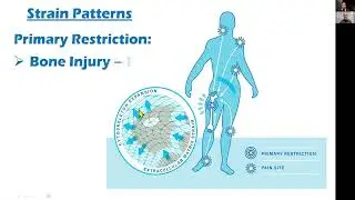 BIOELECTRIC HEALTH, EMF Hazards Summit, 2025: with Nick Pineault and Dr. George Roth