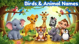Более 100 имен животных и птиц для детей | Дикие животные | Little Marvells 🦁🦜 | Животные джунглей |