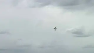 Golden Hawks & Snowbirds