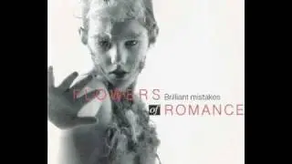 The Flowers Of Romance - 