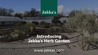 Introducing Jekka's Herb Garden