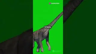 Dinosaurs: The Giants of the Past!