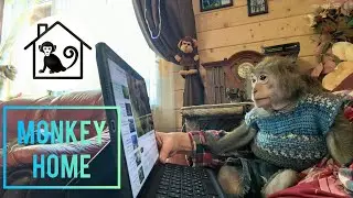 УРОК ЗООЛОГИИ ДЛЯ МАШИ ✨ Смотрим документальные фильмы о животных вместе