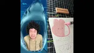 🤣👌👌👌2026 pov Must-Watch Crazy Clips Compilation #humor #fypシ #pov #fyp #foryou 😍😜