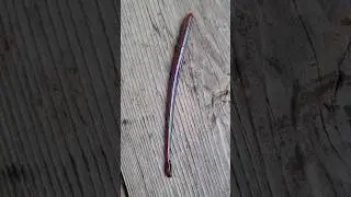 Lure Spotlight: Roboworm Straight Tail Worm in Tequila Sunrise