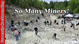 Wild Day at the Wild Turkey Mine // Digging Noble Serpentine