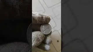 The Top Most Valuable Rare Nickel Coins Worth Big Bucks! #shorts