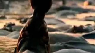 Animal Face Off - Hippo vs. Bull Shark